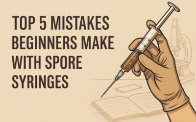 Top 5 Mistakes Beginners Make with Spore Syringes