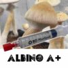 Albino A+ Spore Syringe