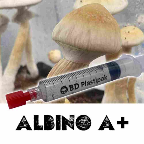 Albino A+ Spores