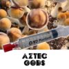 Aztec Gods Spores