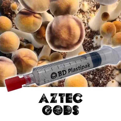Aztec Gods Spores
