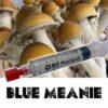 Blue Meanie Mushroom Spores