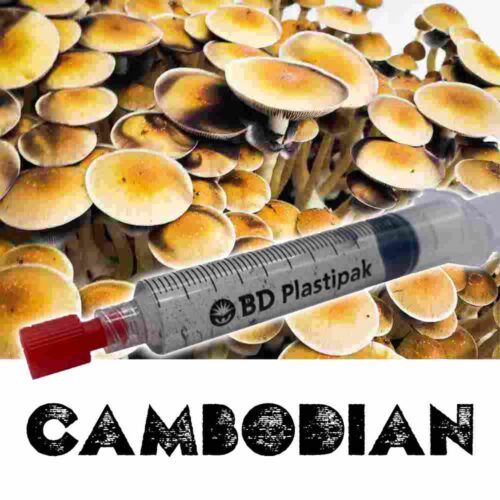 Cambodian Spores