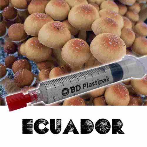 Ecuador Spores