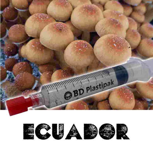 ecuador-mushroom-spore-syringe.jpg Ecuador Spores
