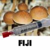 fiji-mushroom-spore-syringe.jpg Fiji Spores