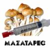 Mazatapec Spores