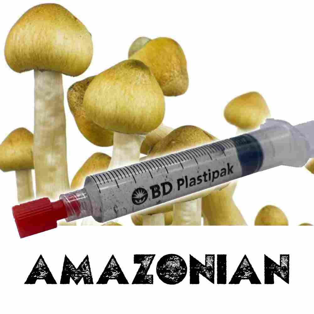 Suddan×Bogor×YM mix spore Amazonian Spore Syringe | Mycotown