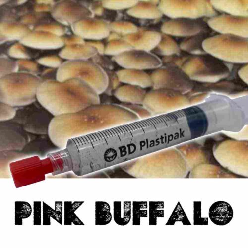 Pink Buffalo Spores