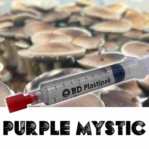 Purple Mystic Spores