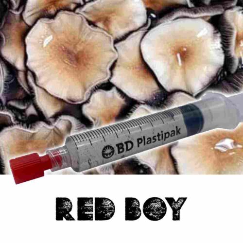 Red Boy Spores