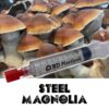Steel Magnolia Spores