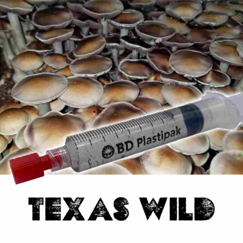 Texas Wild Spores
