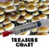 treasure-coast-mushroom-spore-syringe.jpg Treasure Coast Spores