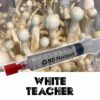 White Teacher Spores