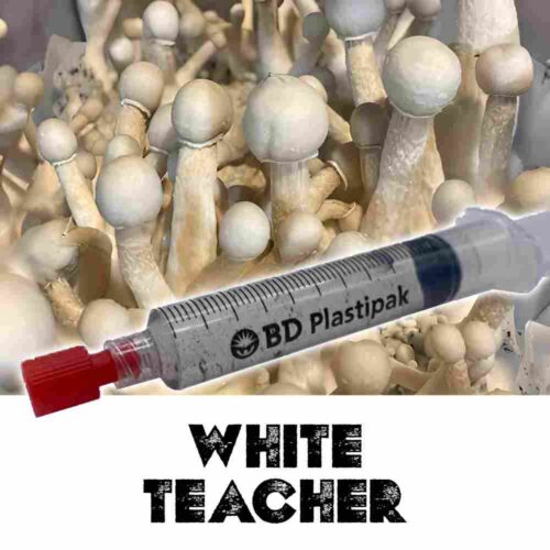 White Teacher Spores