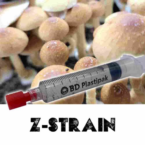 Z-Strain Spores